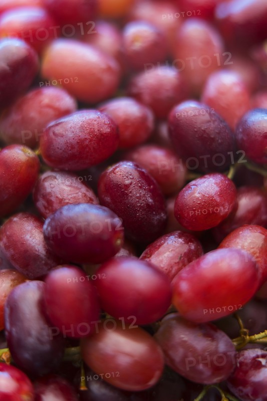 Pile of fresh wet purple grapes