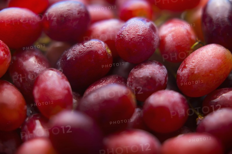 Pile of fresh wet purple grapes