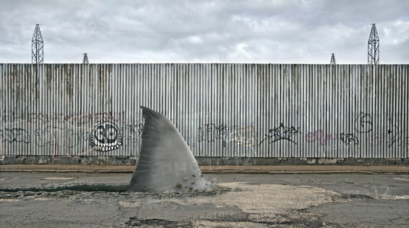 Shark fin swimming in dilapidated city street