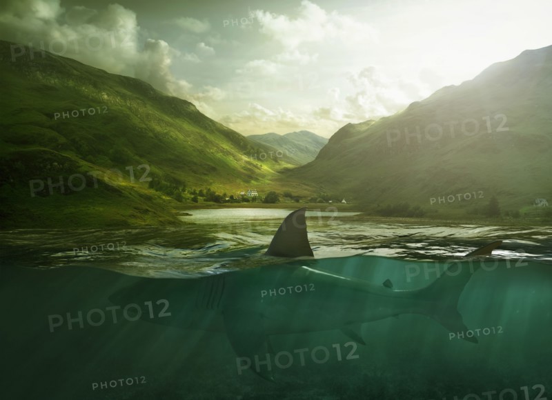Shark swimming in lake near mountains