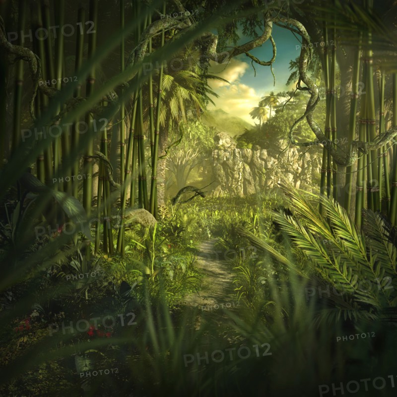 Lush green jungle