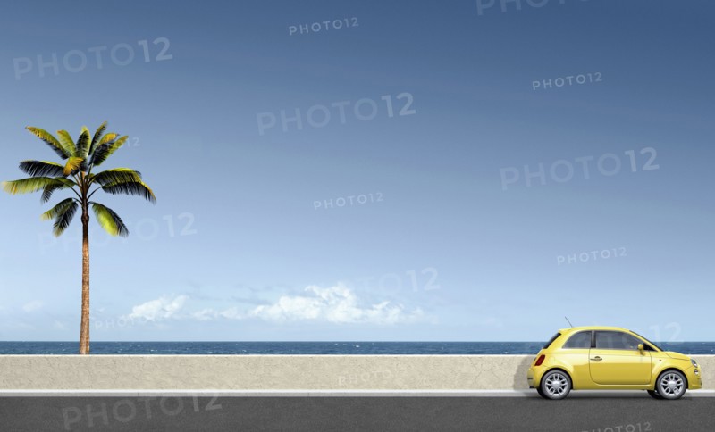 Yellow car near palm tree at ocean