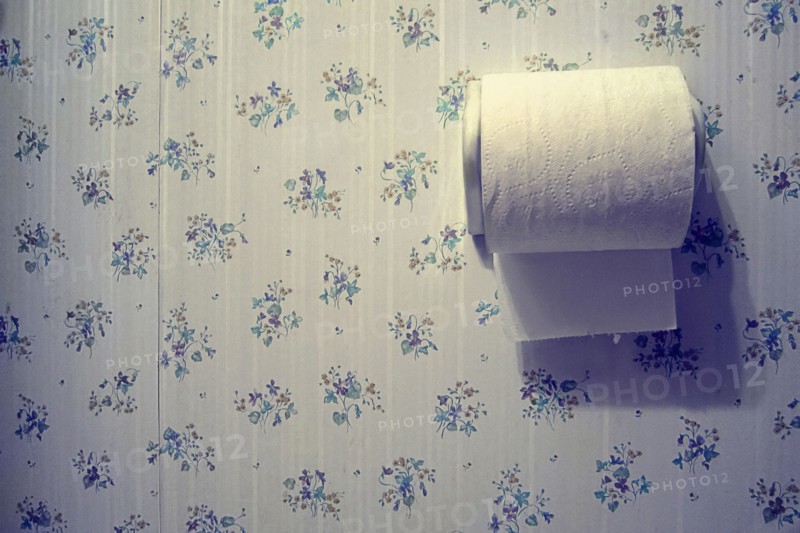 Toilet paper and wallpaper