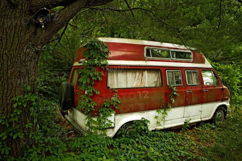 Foliage growing on abandoned camper van in forest