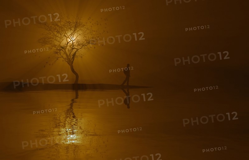 Silhouette of woman and tree near river at sunset