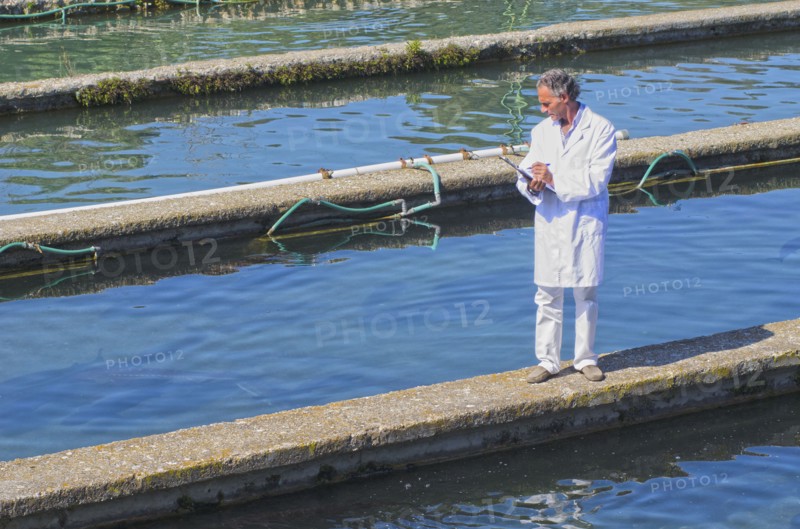 Hispanic man working in fish hatchery