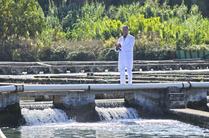 Hispanic man working in fish hatchery