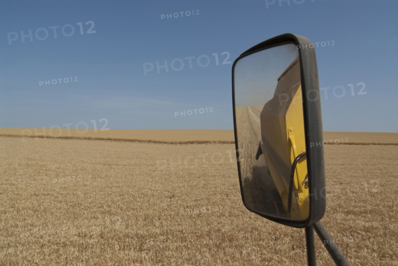 rear view mirror of combine harvester in field