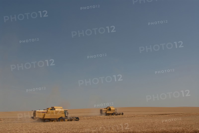 two combine harvesters working in wheat field