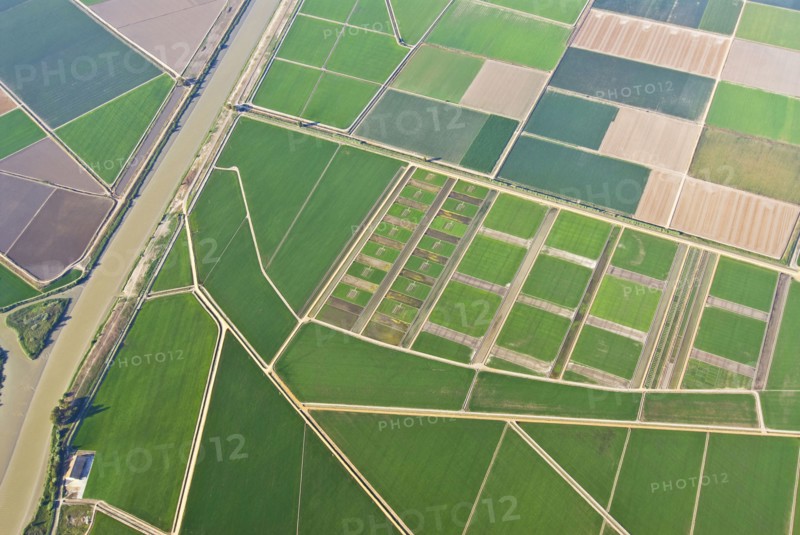 aerial view of patchwork fields