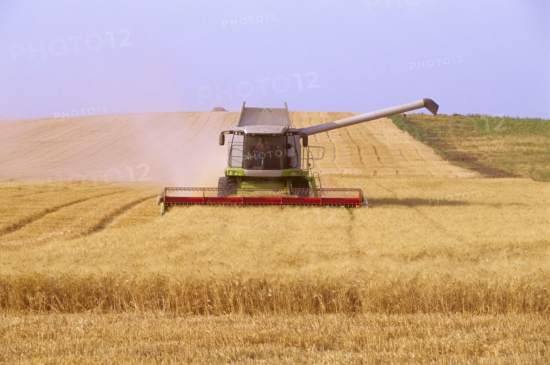 Combine harvester harvesting wheat in field