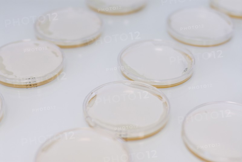 Petri dishes
