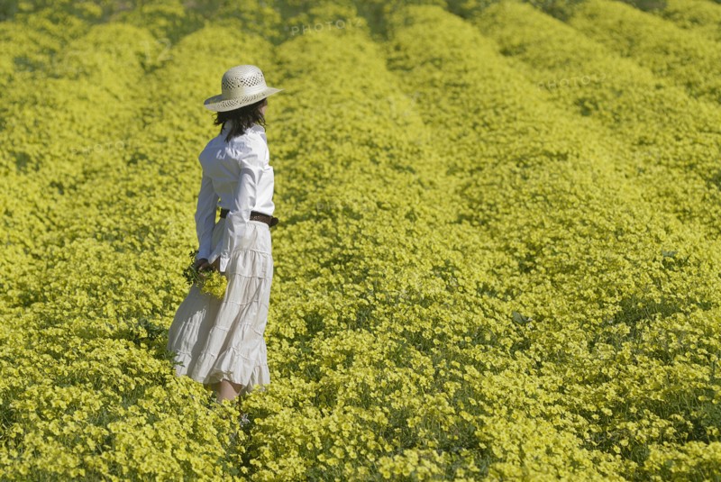 Woman in white dress and hat standing in field of yellow flowers