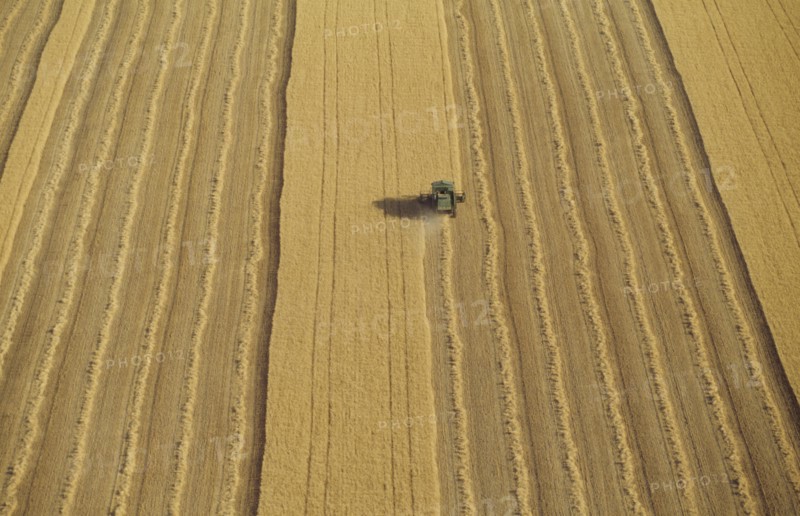 Combine harvester in wheat field aerial view