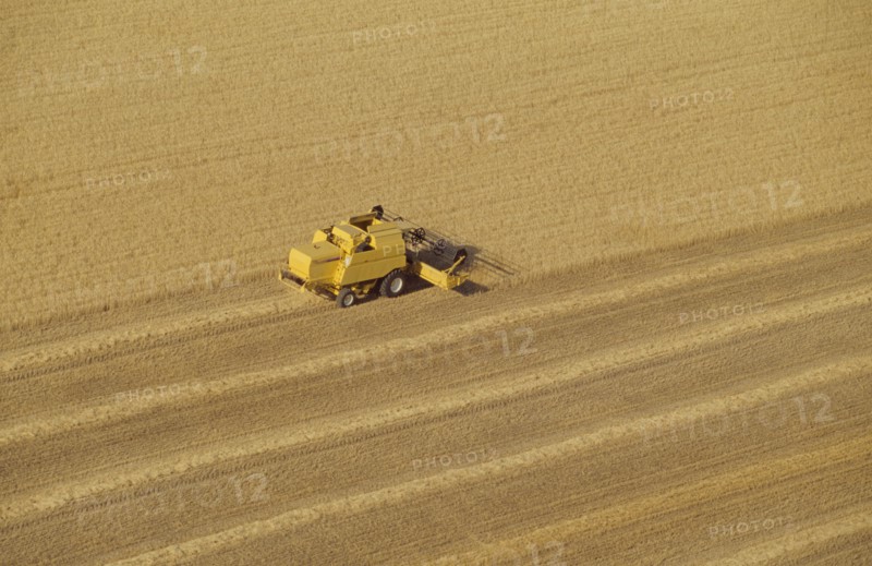 Combine harvester in wheat field aerial view