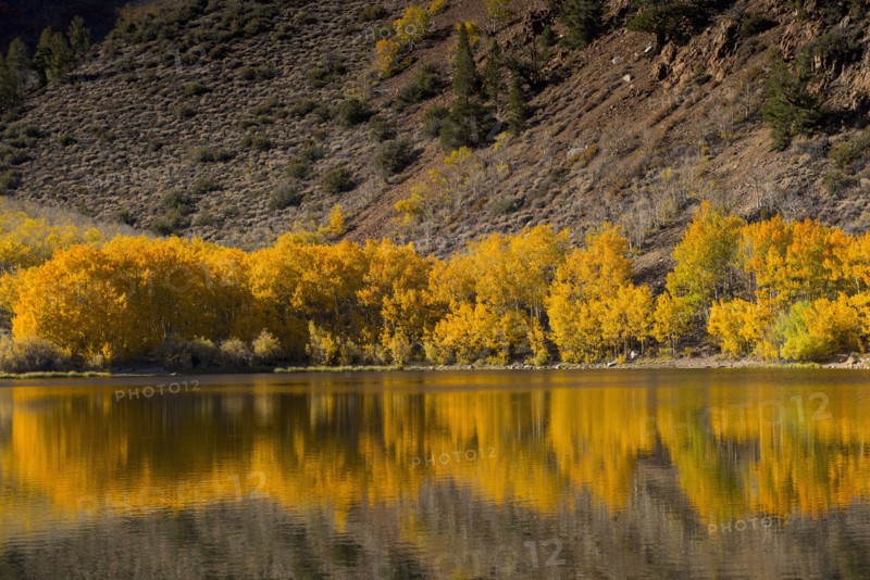 Autumn trees and hillside reflecting in lake