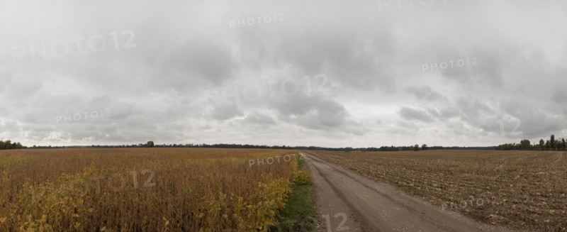 Dirt path through fields in rural landscape