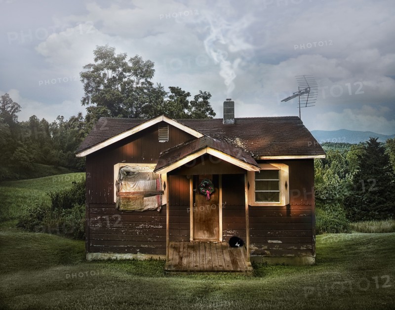 Dilapidated shack in rural field