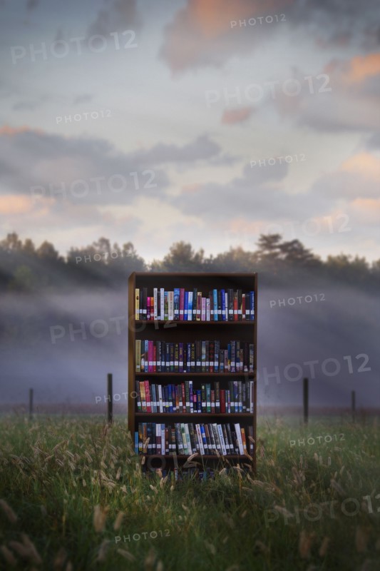 Books in bookcase in field