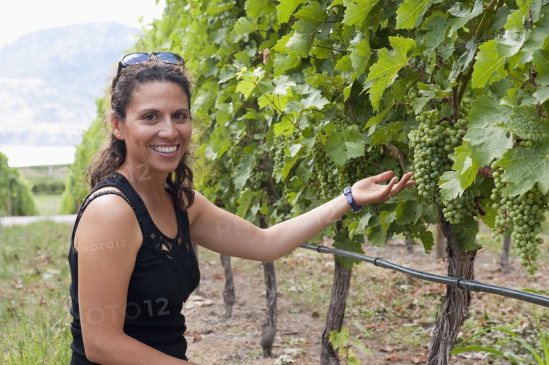 Hispanic woman looking at grapes in vineyard