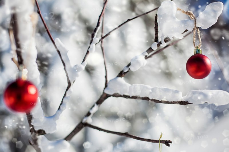 Christmas ornaments on branch in the snow