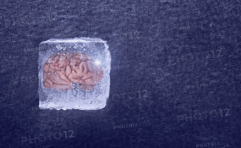 Brain frozen in ice cube
