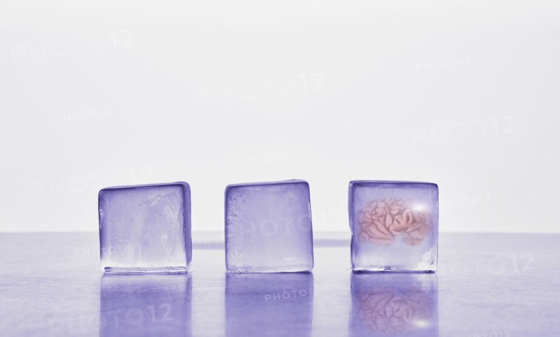 Brain frozen in ice cube