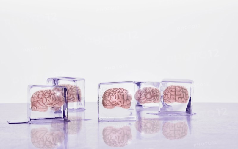 Brains frozen in ice cubes