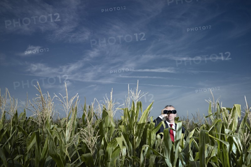 Caucasian businessman using binoculars in corn field