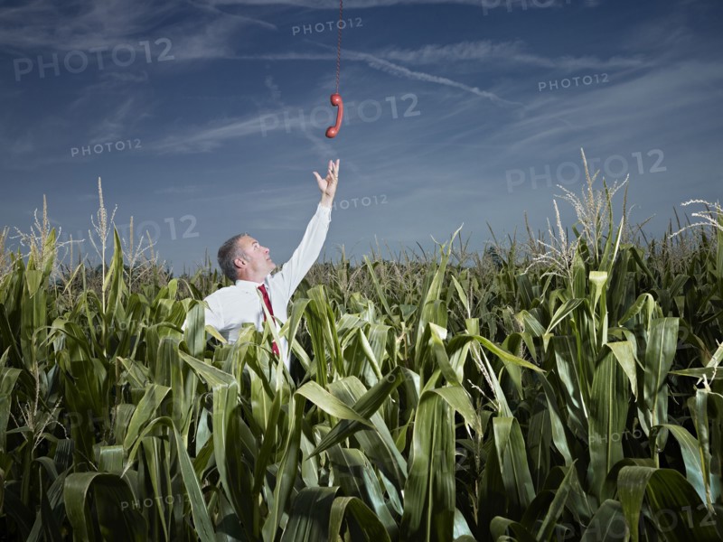 Caucasian businessman in corn field reaching for red telephone