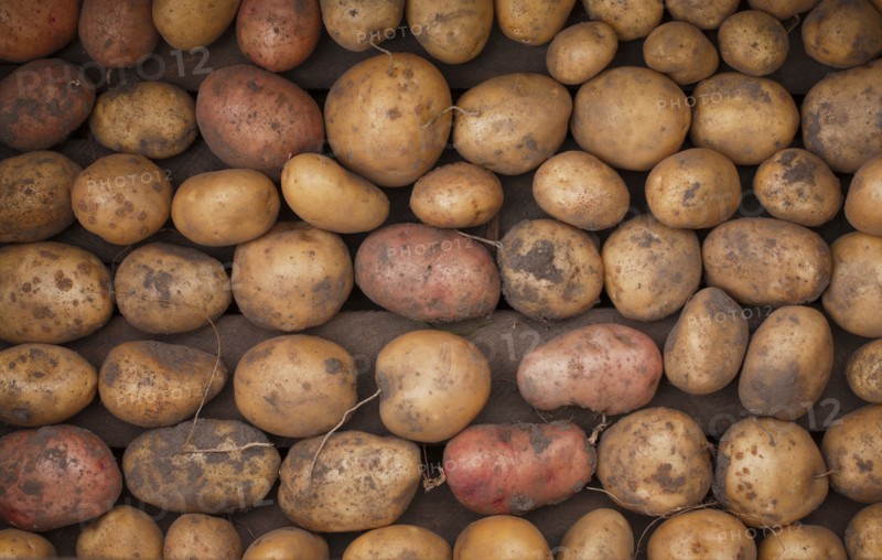 Potatoes in box