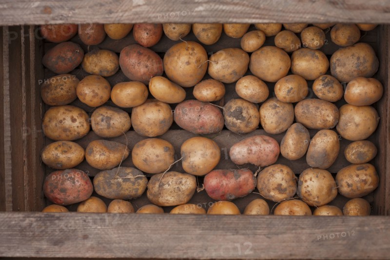 Potatoes in a wooden box