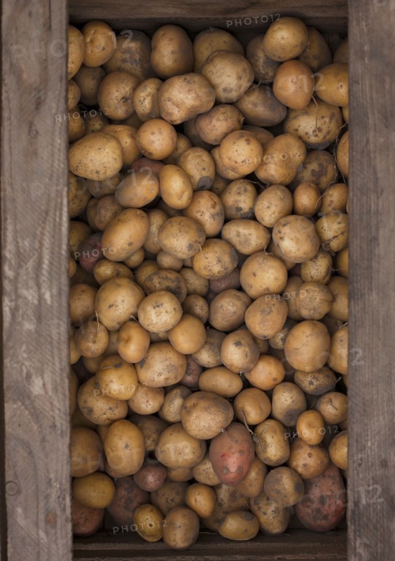 Potatoes in a wooden box