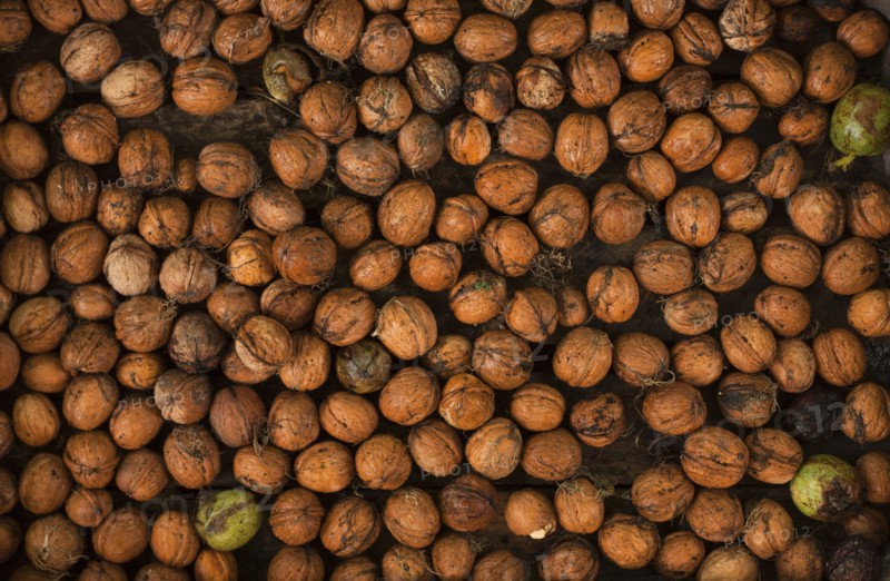 Pile of walnuts