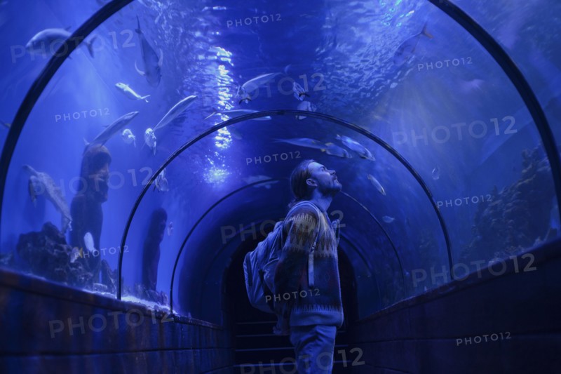Caucasian man admiring fish in aquarium