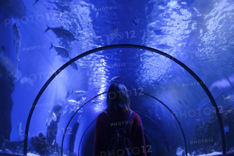 Caucasian woman admiring fish in aquarium