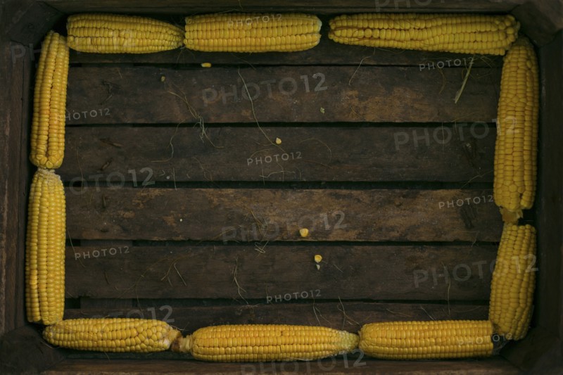 Corn on cob lining wooden box