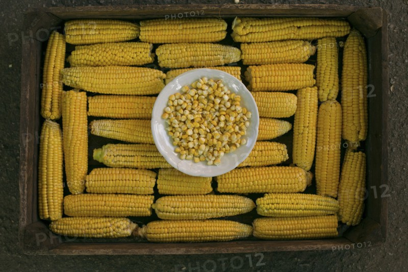 Kernels of corn in bowl on box of corn on cob