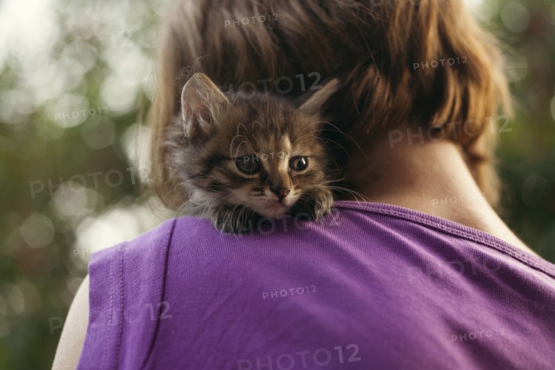 Face of cat sitting on shoulder of woman