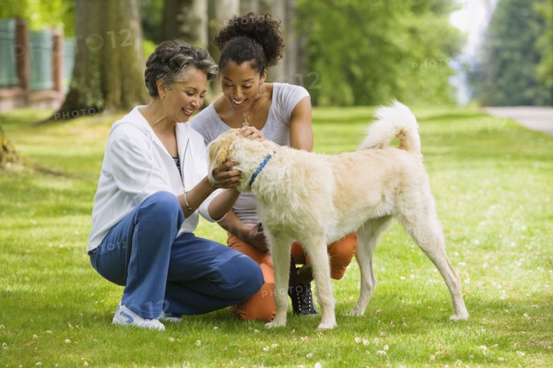 African American mother and adult daughter petting dog