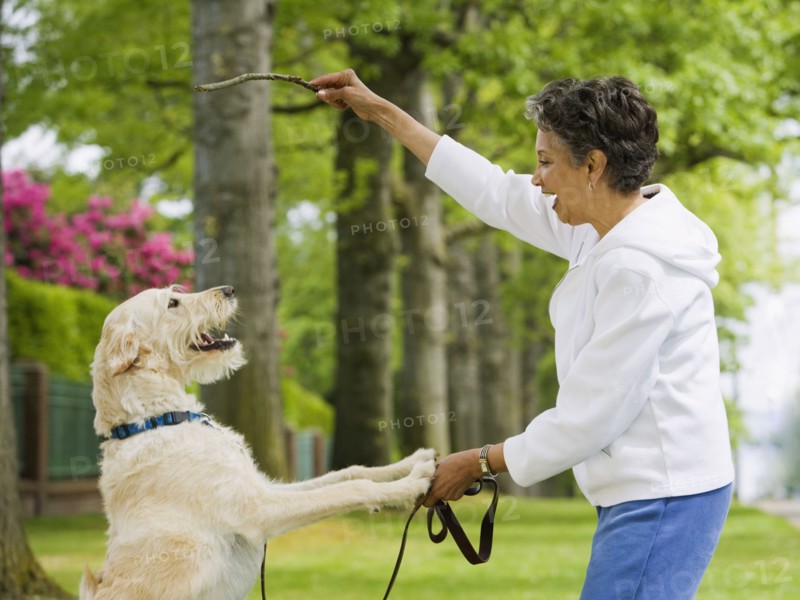 African American woman playing with dog