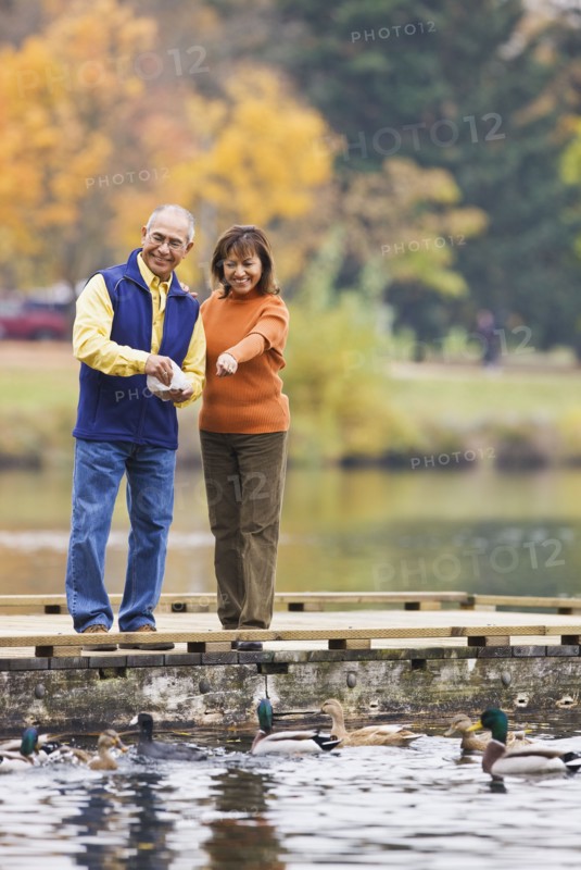 Hispanic couple feeding ducks in pond