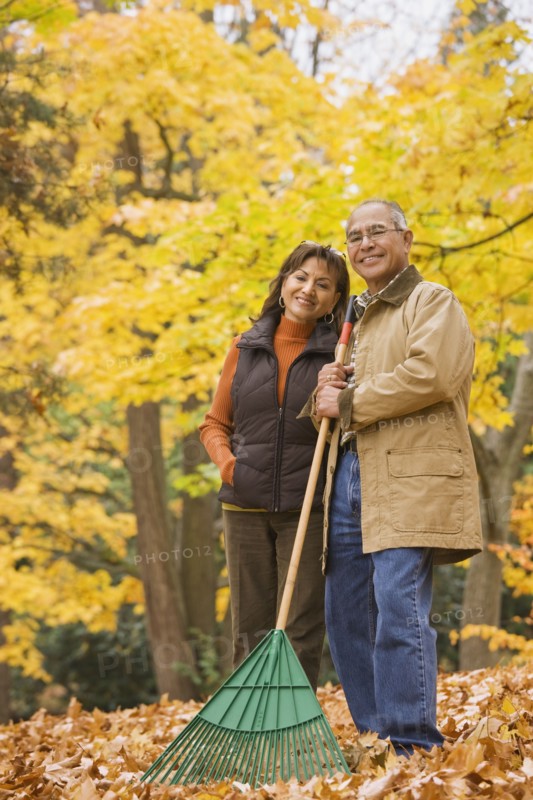 Hispanic couple raking autumn leaves