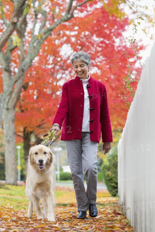 Mixed race woman walking dog