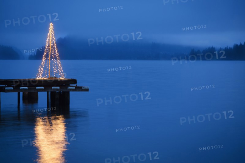String of lights in tree shape on wooden pier