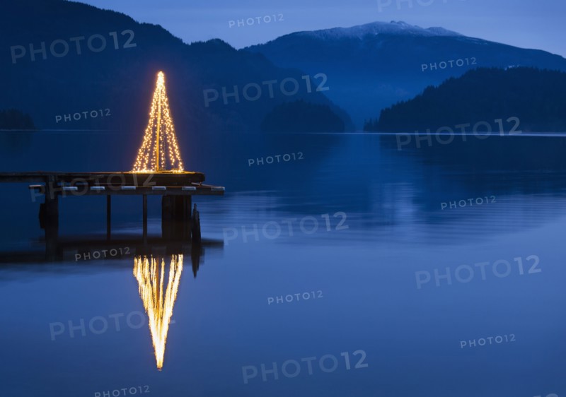 Illuminated Christmas tree on wooden pier