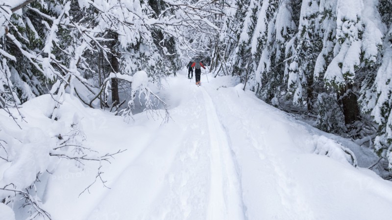 Caucasian couple cross country skiing in snow
