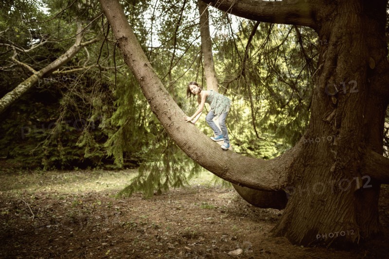 Mixed race girl climbing tree in forest