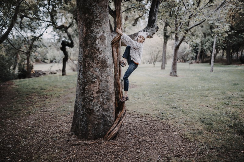 Mixed race girl climbing tree in park