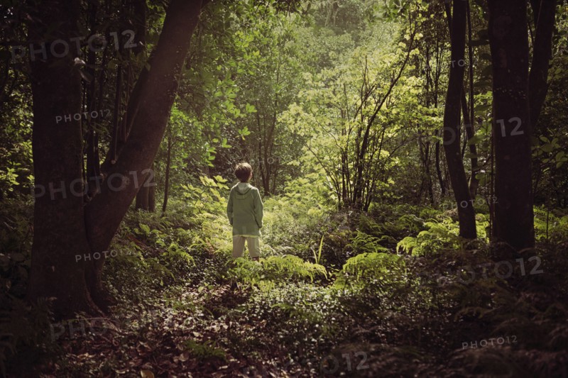 Mixed race boy exploring lush forest